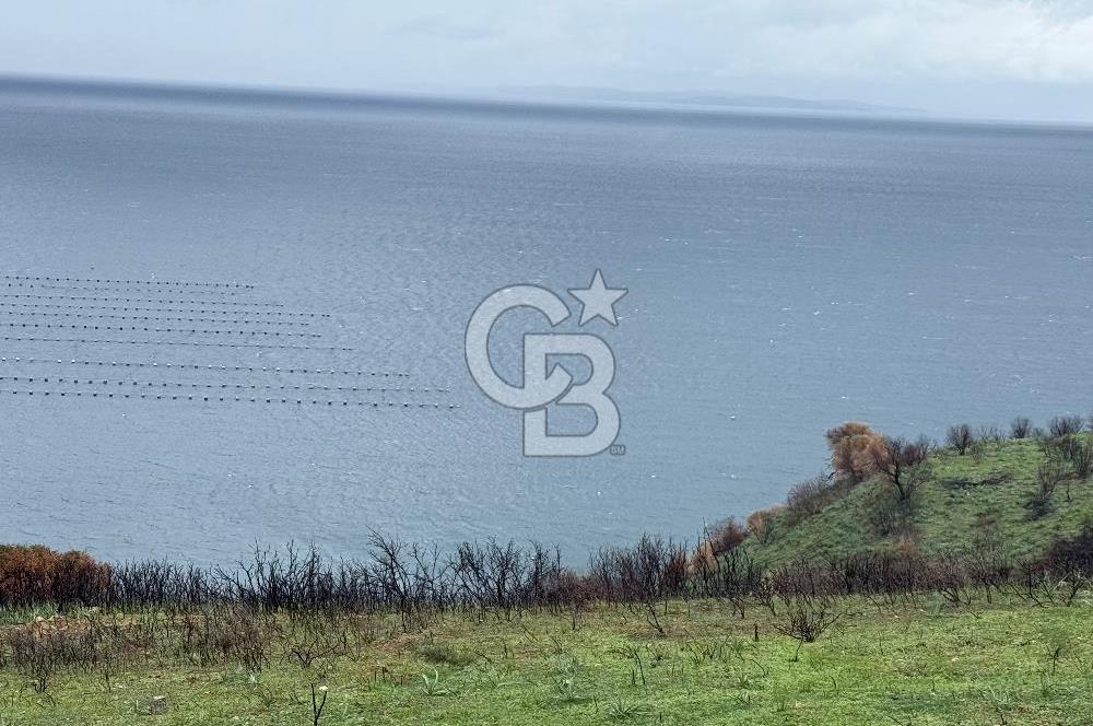 Balıkesir Bandırma Hıdırköyü deniz manzaralı satılık arsa