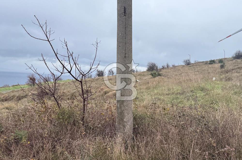 Balıkesir Bandırma Hıdırköyü deniz manzaralı satılık arsa