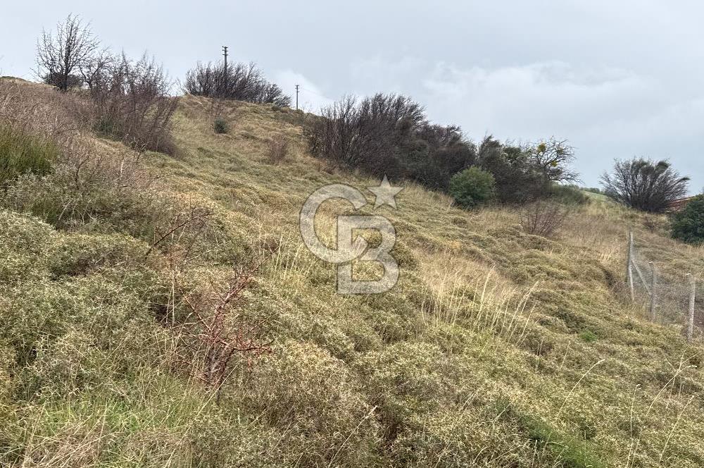 Balıkesir Bandırma Hıdırköyü deniz manzaralı satılık arsa
