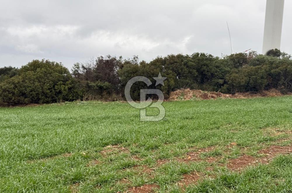 Foça YeniFoça Cumhuriyet mahallesi deniz manzaralı arsa