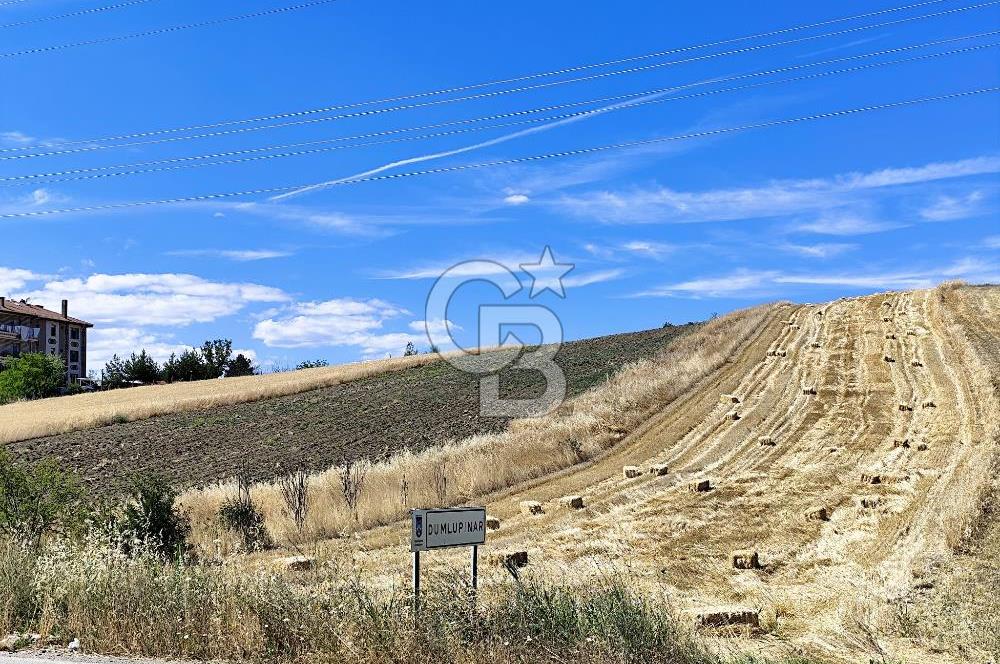 ESENBOĞA YOLU YAKINI İMARA YAKIN YÜKSEK KAZANÇ POTANSİYELİ TARLA