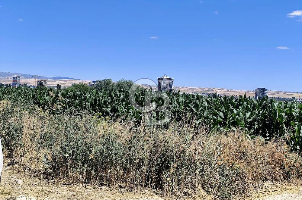 ESENBOĞA YOLU YAKINI İMARA YAKIN YÜKSEK KAZANÇ POTANSİYELİ TARLA