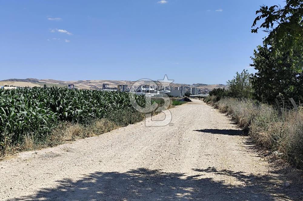 ESENBOĞA YOLU YAKINI İMARA YAKIN YÜKSEK KAZANÇ POTANSİYELİ TARLA