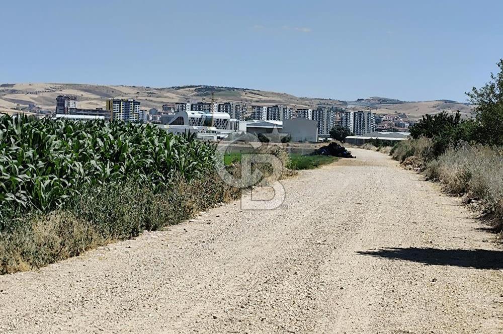 ESENBOĞA YOLU YAKINI İMARA YAKIN YÜKSEK KAZANÇ POTANSİYELİ TARLA