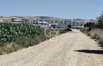 ESENBOĞA YOLU YAKINI İMARA YAKIN YÜKSEK KAZANÇ POTANSİYELİ TARLA