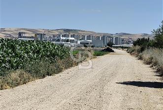 ESENBOĞA YOLU YAKINI İMARA YAKIN YÜKSEK KAZANÇ POTANSİYELİ TARLA - 2 - 374902