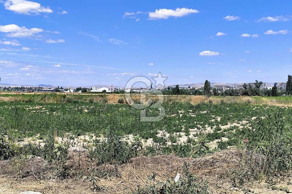 ESENBOĞA YOLU YAKINI İMARA YAKIN YÜKSEK KAZANÇ POTANSİYELİ TARLA