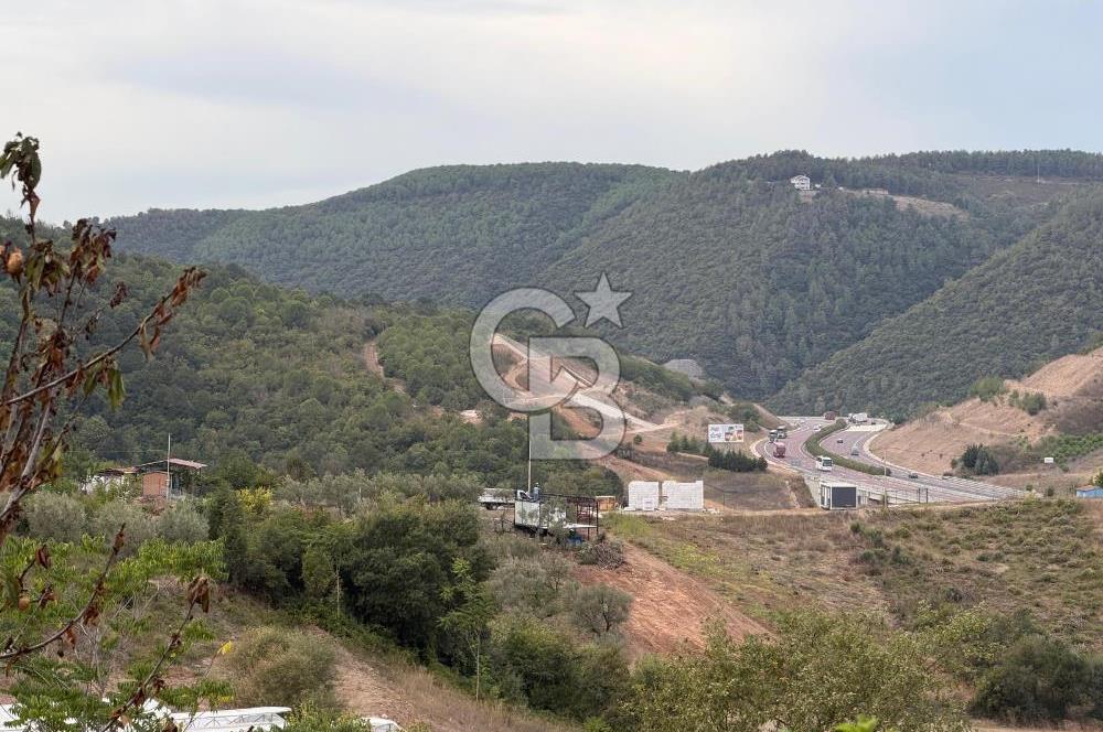 YALOVA ALTINOVA TAVŞANLIDA 840M2 ARSA İÇİNDE SATILIK MÜSTAKİL EV