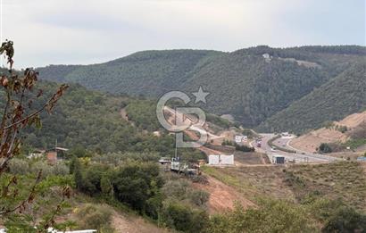 YALOVA ALTINOVA TAVŞANLIDA 840M2 ARSA İÇİNDE SATILIK MÜSTAKİL EV