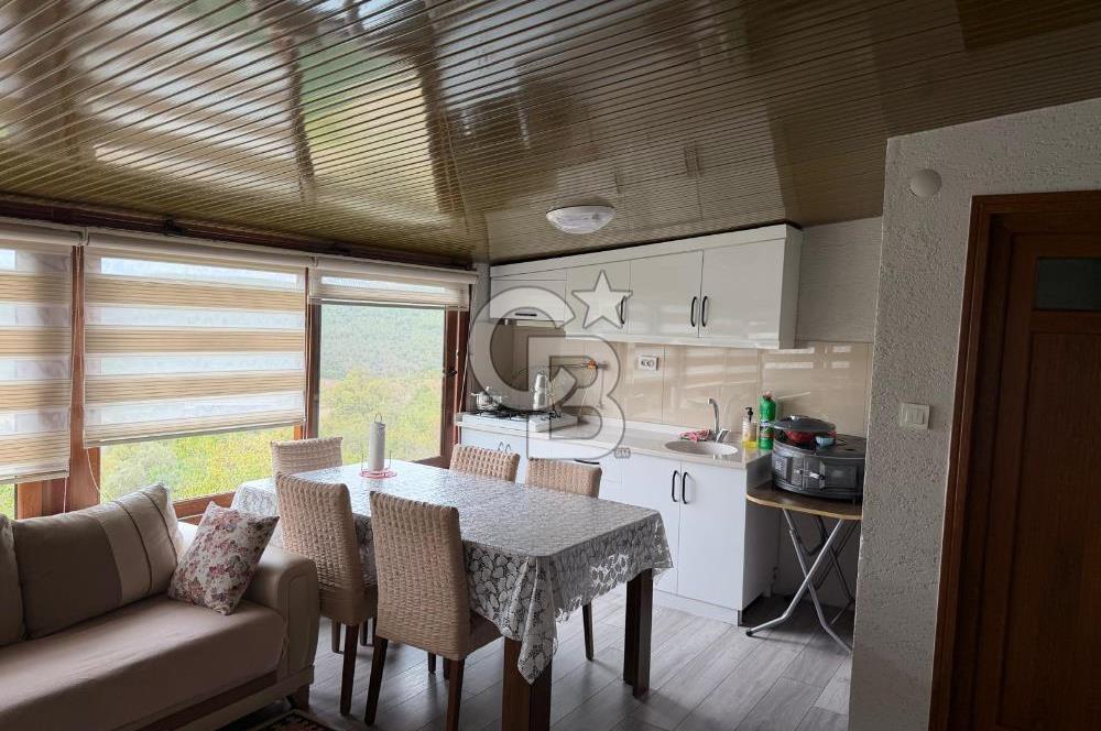 YALOVA ALTINOVA TAVŞANLIDA 840M2 ARSA İÇİNDE SATILIK MÜSTAKİL EV
