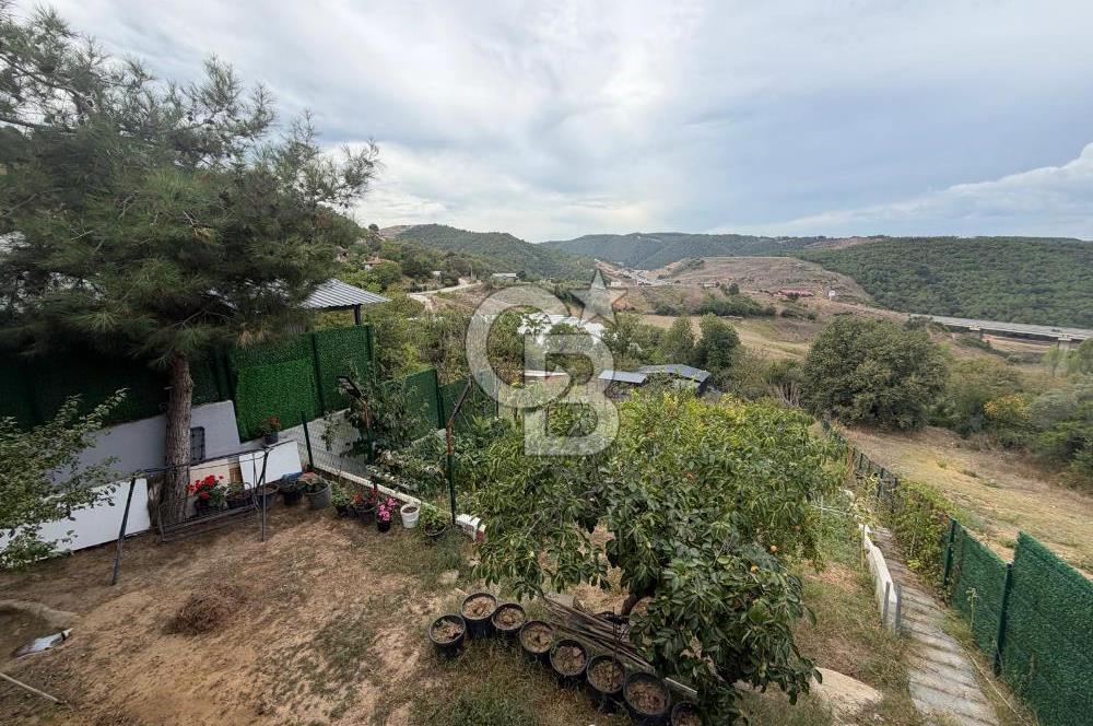 YALOVA ALTINOVA TAVŞANLIDA 840M2 ARSA İÇİNDE SATILIK MÜSTAKİL EV
