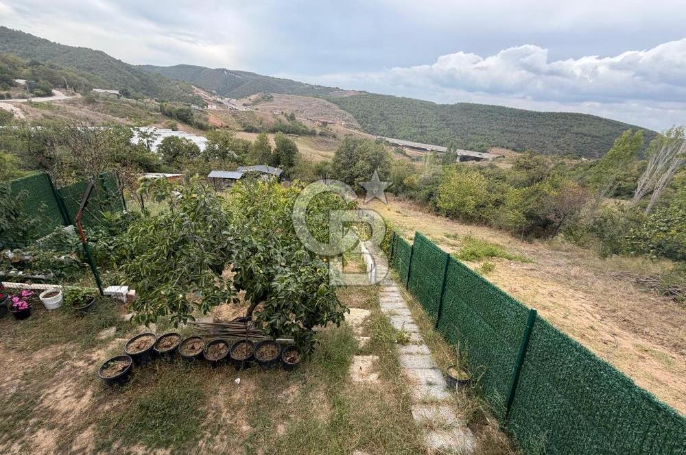YALOVA ALTINOVA TAVŞANLIDA 840M2 ARSA İÇİNDE SATILIK MÜSTAKİL EV