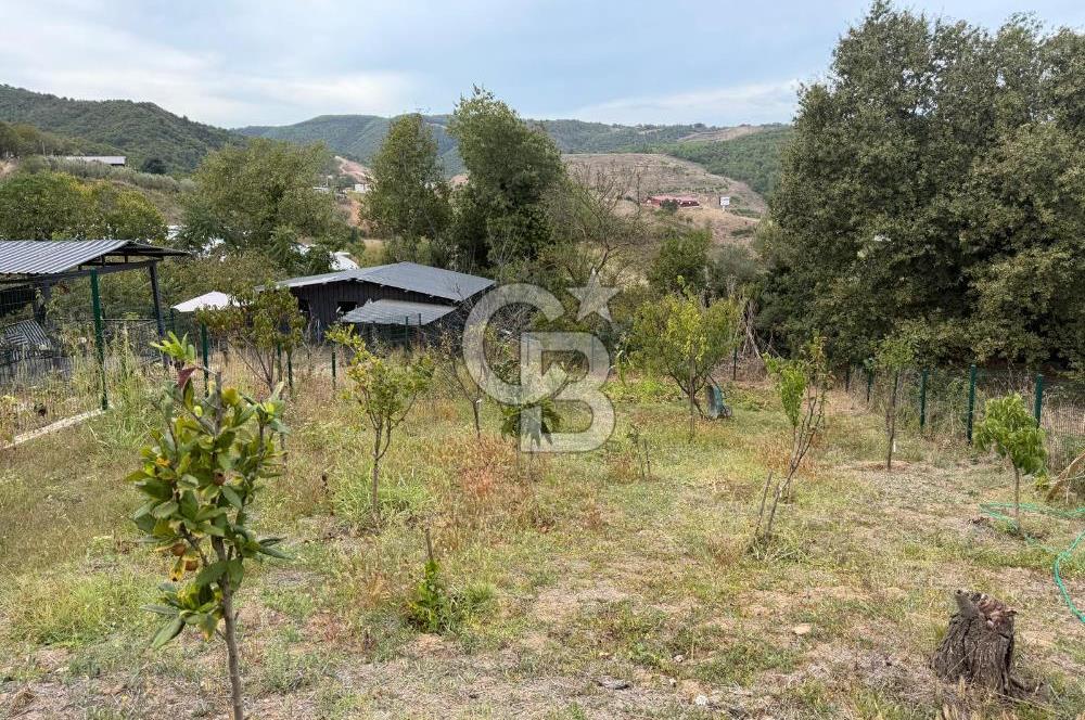 YALOVA ALTINOVA TAVŞANLIDA 840M2 ARSA İÇİNDE SATILIK MÜSTAKİL EV