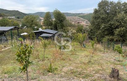YALOVA ALTINOVA TAVŞANLIDA 840M2 ARSA İÇİNDE SATILIK MÜSTAKİL EV