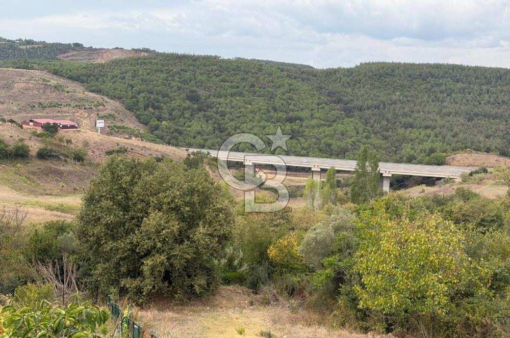 YALOVA ALTINOVA TAVŞANLIDA 840M2 ARSA İÇİNDE SATILIK MÜSTAKİL EV