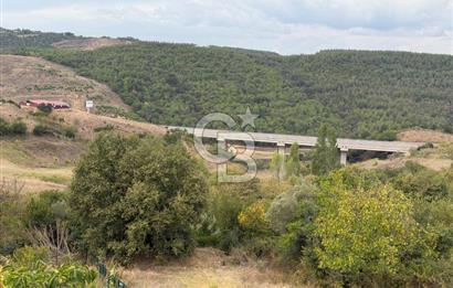 YALOVA ALTINOVA TAVŞANLIDA 840M2 ARSA İÇİNDE SATILIK MÜSTAKİL EV