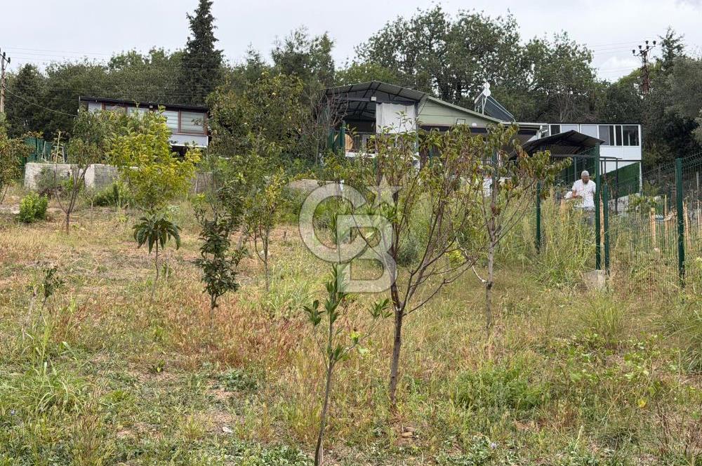 YALOVA ALTINOVA TAVŞANLIDA 840M2 ARSA İÇİNDE SATILIK MÜSTAKİL EV