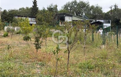YALOVA ALTINOVA TAVŞANLIDA 840M2 ARSA İÇİNDE SATILIK MÜSTAKİL EV