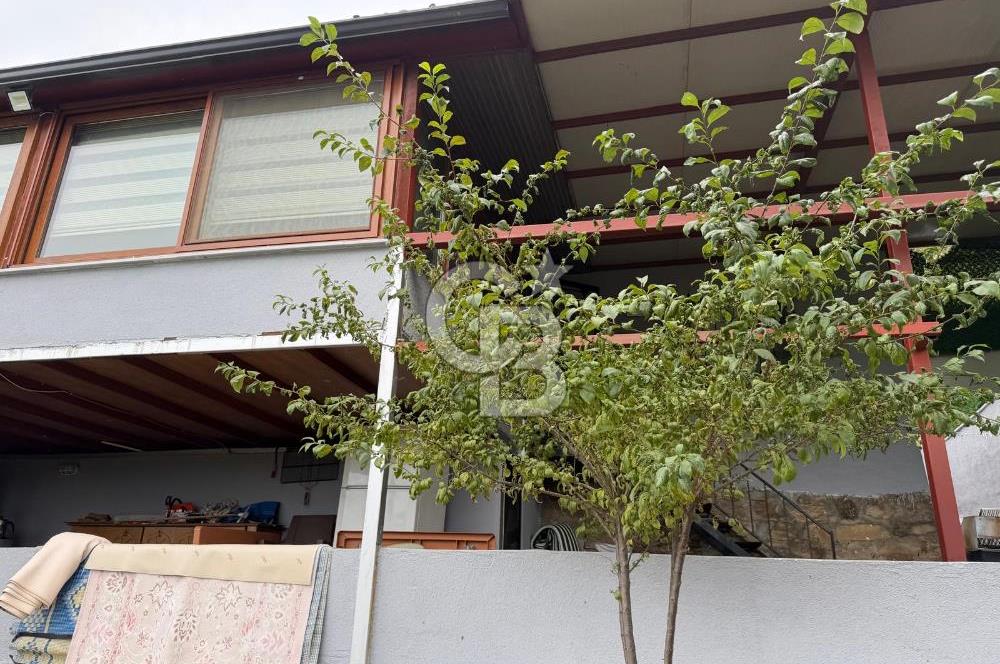 YALOVA ALTINOVA TAVŞANLIDA 840M2 ARSA İÇİNDE SATILIK MÜSTAKİL EV