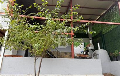YALOVA ALTINOVA TAVŞANLIDA 840M2 ARSA İÇİNDE SATILIK MÜSTAKİL EV