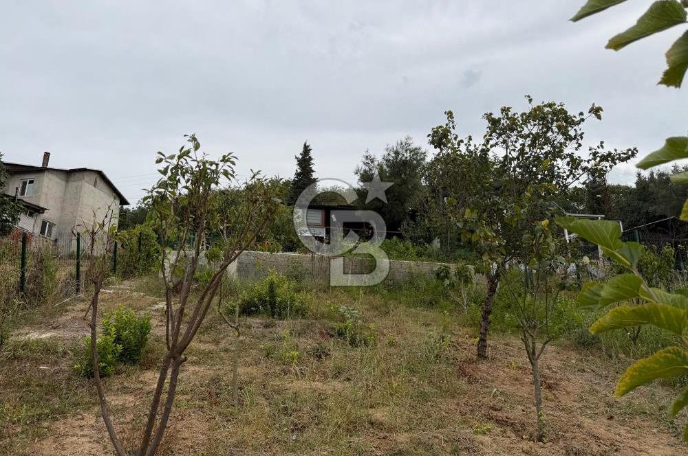 YALOVA ALTINOVA TAVŞANLIDA 840M2 ARSA İÇİNDE SATILIK MÜSTAKİL EV