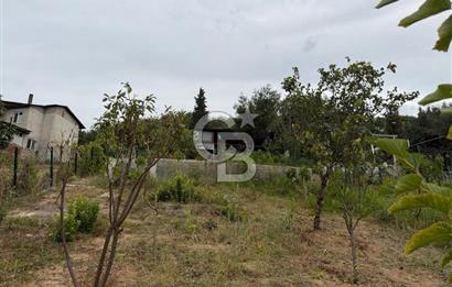 YALOVA ALTINOVA TAVŞANLIDA 840M2 ARSA İÇİNDE SATILIK MÜSTAKİL EV