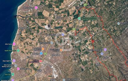 Burhaniye Kızıklıda 2.941 m² Bakımlı Satılık Zeytinlik