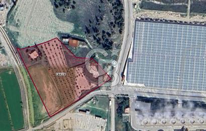 AYDIN BUHARKENT KIZILDERE SATILIK 26.616 M² YAN YANA 3 PARSEL