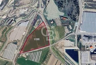 AYDIN BUHARKENT KIZILDEREDE 18.513 M² SATILIK TARLA - 2 - 375049