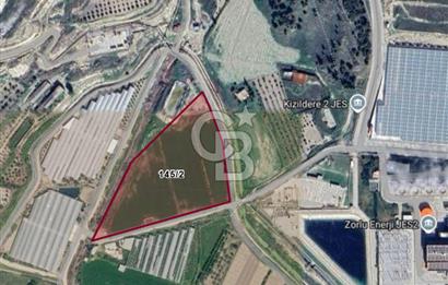 AYDIN BUHARKENT KIZILDEREDE 18.513 M² SATILIK TARLA