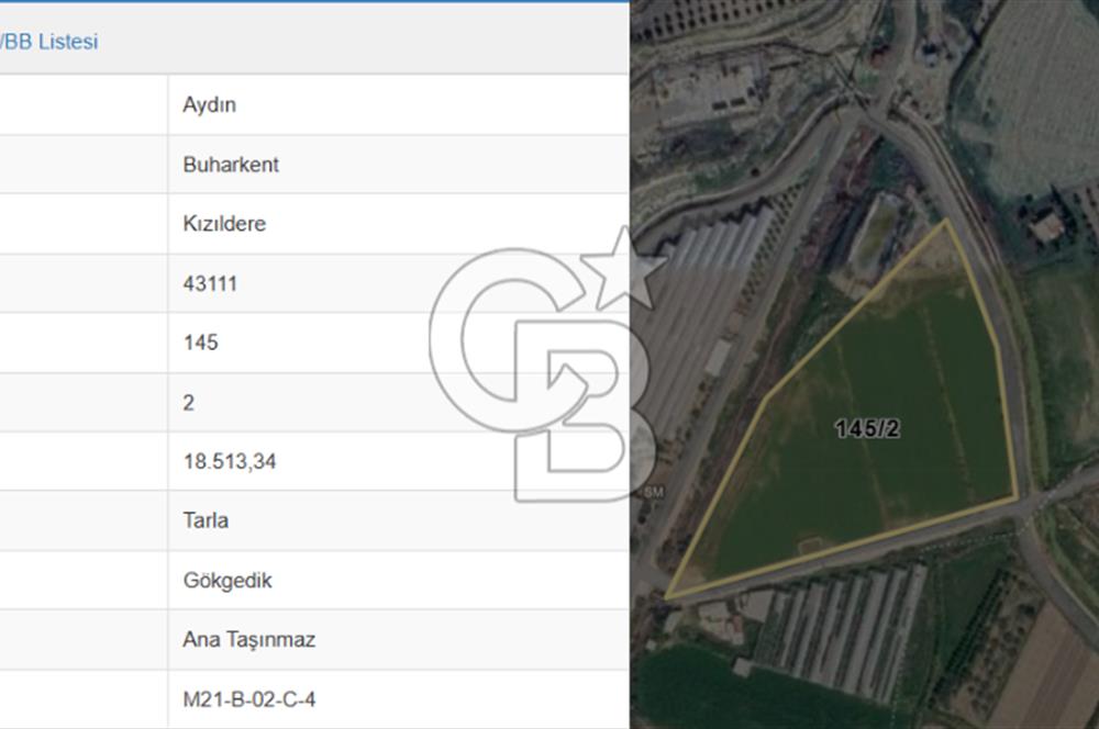 AYDIN BUHARKENT KIZILDEREDE 18.513 M² SATILIK TARLA