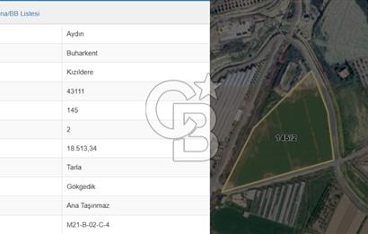 AYDIN BUHARKENT KIZILDEREDE 18.513 M² SATILIK TARLA