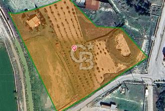 AYDIN BUHARKENT KIZILDERE SATILIK 26.616 M² YAN YANA 3 PARSEL - 3 - 375048