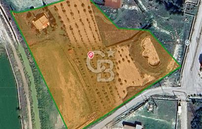 AYDIN BUHARKENT KIZILDERE SATILIK 26.616 M² YAN YANA 3 PARSEL