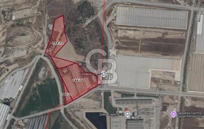 AYDIN BUHARKENT KIZILDERE SATILIK 26.616 M² YAN YANA 3 PARSEL