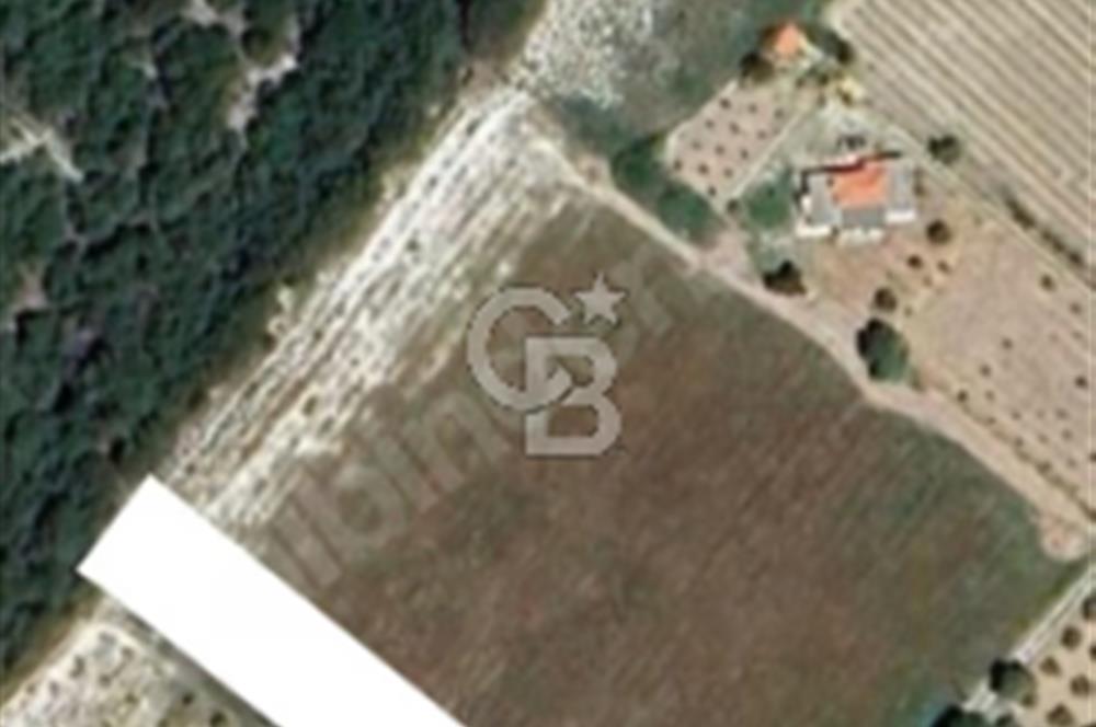 BOZCAADA AYAZMA PLAJI'NA YÜRÜME MESAFESİNDE RESMİ YOLLU 2155M²