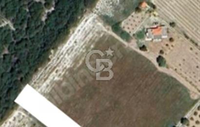 BOZCAADA AYAZMA PLAJI'NA YÜRÜME MESAFESİNDE RESMİ YOLLU 2155M²