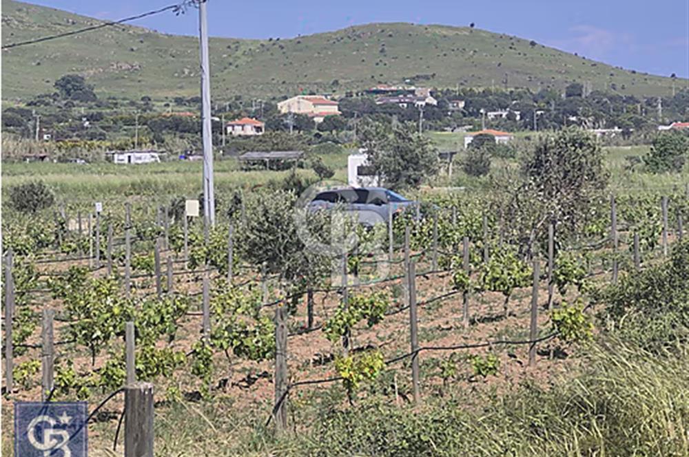 BOZCAADA'DA DENİZ MANZARALI"2212M²BAĞ YERİ"UYGUN FİYATA.