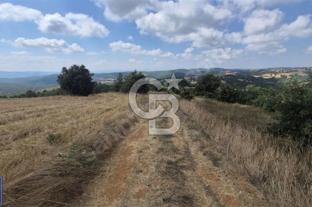 Biga'ya yakın Çan/Bozguç'ta resmi yollu "49.100m²"süper arazi...