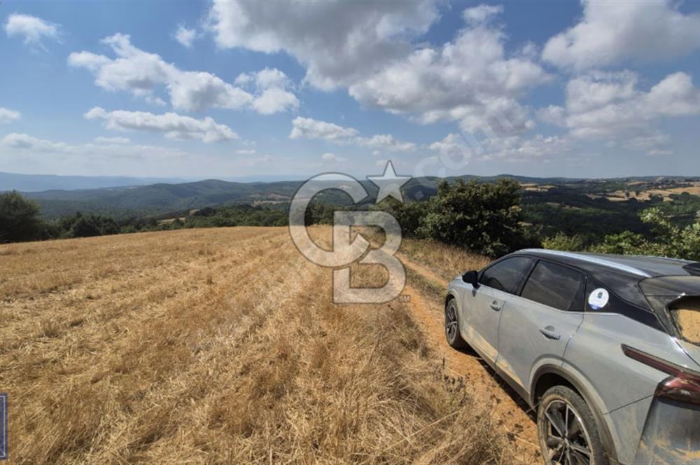 Biga'ya yakın Çan/Bozguç'ta resmi yollu "49.100m²"süper arazi...
