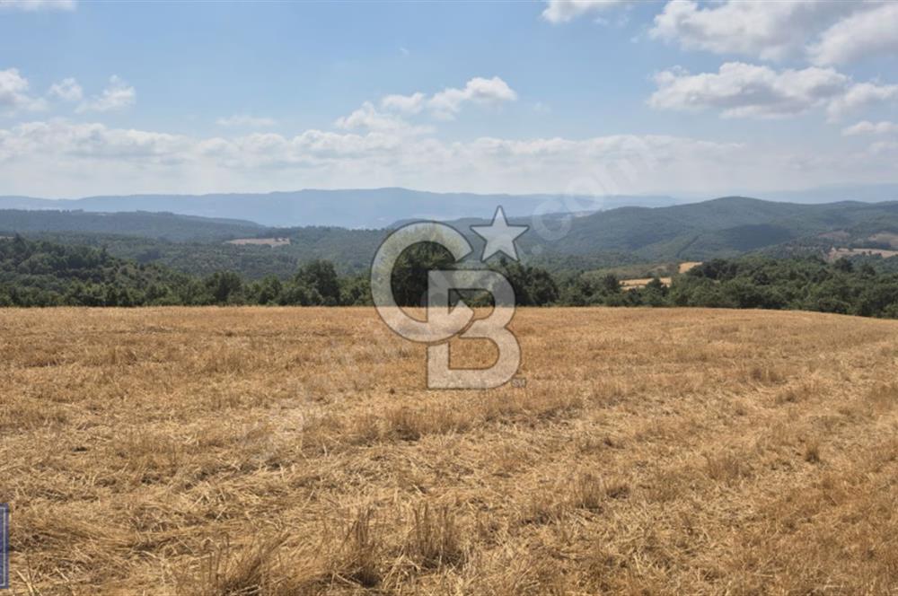 Biga'ya yakın Çan/Bozguç'ta resmi yollu "49.100m²"süper arazi...