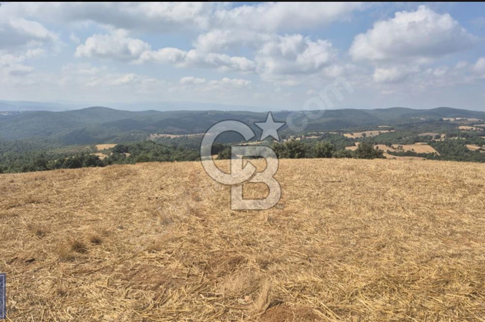 Biga'ya yakın Çan/Bozguç'ta resmi yollu "49.100m²"süper arazi...