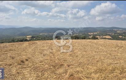 Biga'ya yakın Çan/Bozguç'ta resmi yollu "49.100m²"süper arazi...