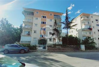  SİNCAN GOP MAHALLESİ'NDE 3+1 FULL YAPILI - 1 - 374978
