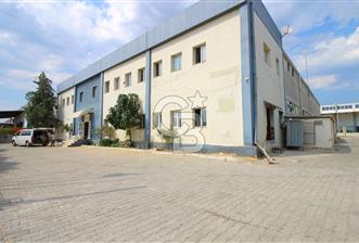 TORBALI YAZIBAŞINDA KÖŞE KONUMLU KİRALIK FABRİKA - 1 - 374980