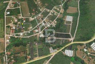 YALOVA ÇİFTLİKKÖY GACIK'TA DENİZ MANZARALI 658 m² YATIRIM FIRSAT - 1 - 374963