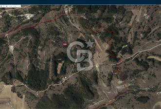 Kocaeli Derince Terzilerde 1.594 m² Yatırımlık Tarla - 1 - 374984