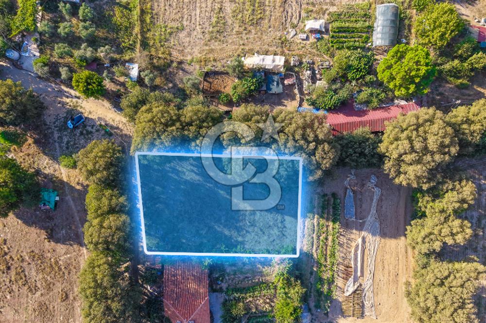 MUĞLA MERKEZ KARABAĞLAR YAYLASINDA SATILIK ARSA