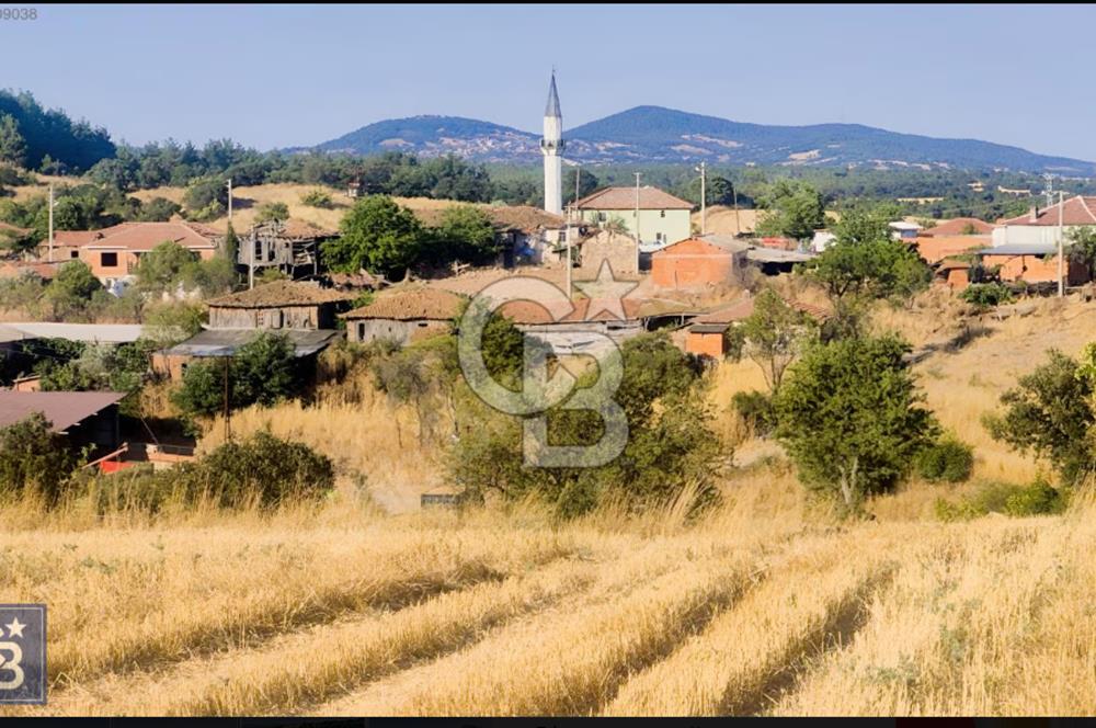 Kazdağları/Bayramiç Yukarışevik'de yerleşimin dibinde"19.300m²"