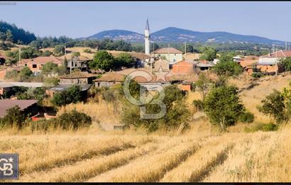 Kazdağları/Bayramiç Yukarışevik'de yerleşimin dibinde"19.300m²"